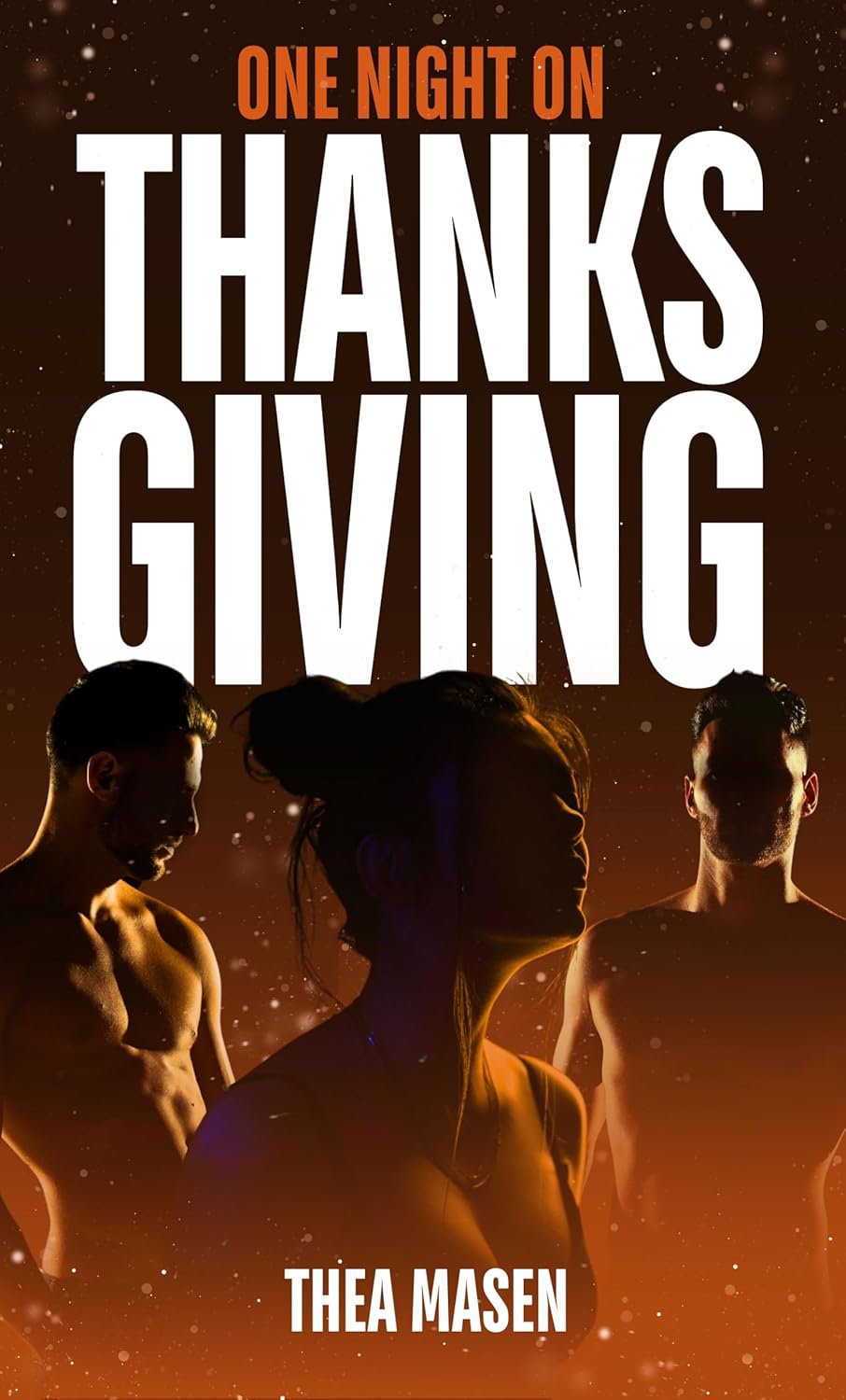 One Night on Thanksgiving book cover